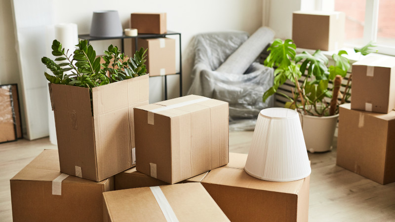 Moving and Storage in Hickory, North Carolina